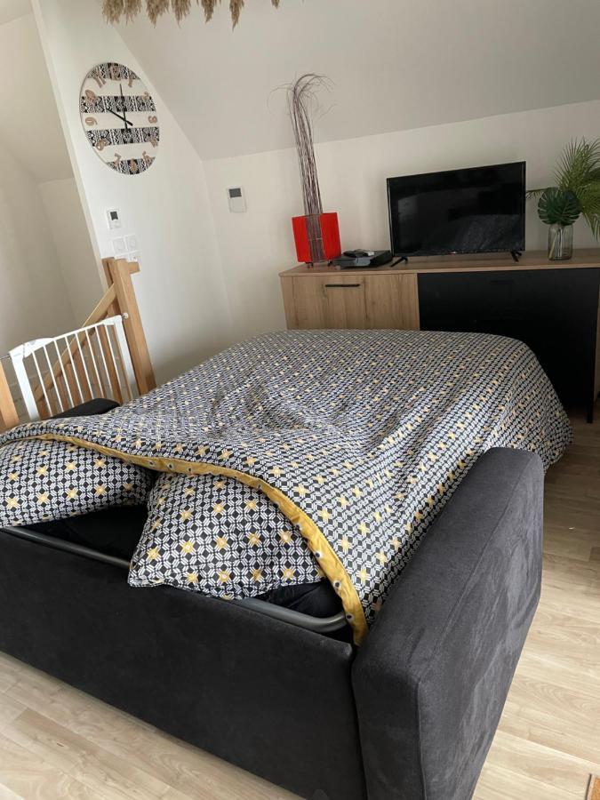 Bel Appartement « The Lion King » Proche Disney Montévrain Zewnętrze zdjęcie
